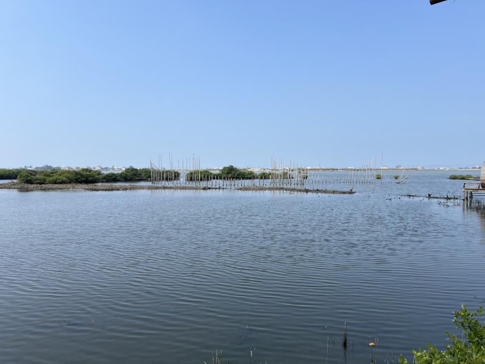 10.19-2.1雲林縣成龍濕地.jpg