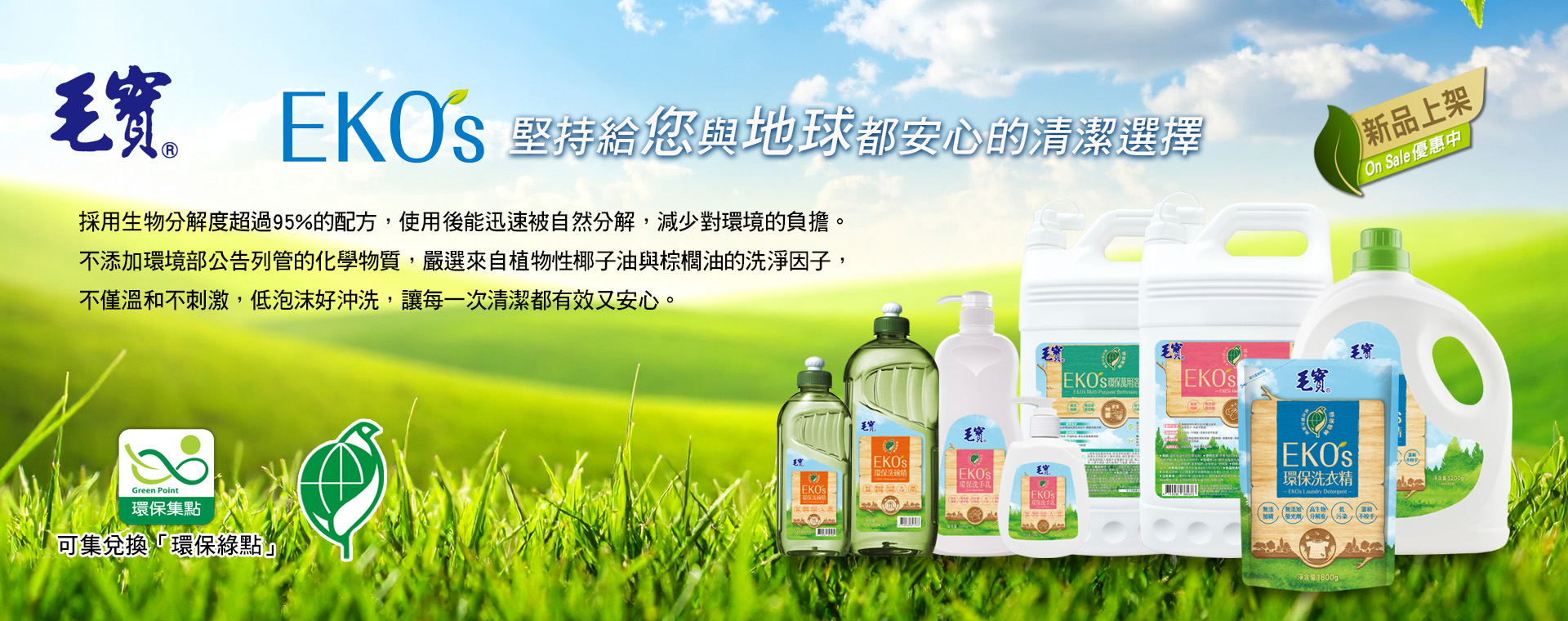 毛寶